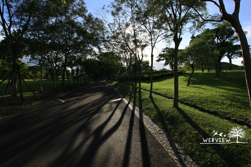 羅東運動公園林蔭大道